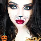 Halloween makeup icône