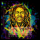 Bob Marley One Love lyrics APK