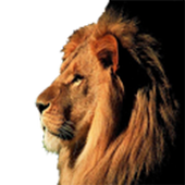 اصوات الحيوانات icon اصوات الحيوانات icon