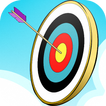 Archery Shooter & Bow Shooting