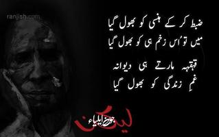 JaunElia poetry screenshot 2