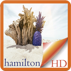 Hamilton Island Australia أيقونة