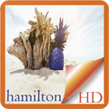 Hamilton Island Australia