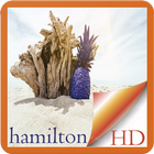 Hamilton Island Australia ikona