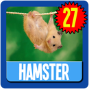 Hamster Wallpaper HD Complete APK