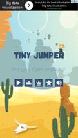 Tiny Jumper poster