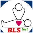 BLS test 2008