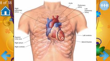3 Schermata Examination of the heart