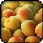 Apricot wallpapers আইকন