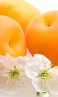 Apricot wallpapers 截圖 1