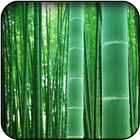 Bamboo wallpapers ikona