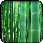 Bamboo wallpapers ไอคอน