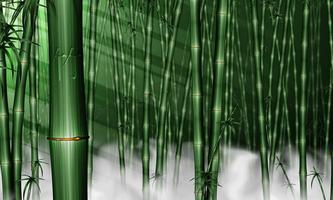 Bamboo wallpapers Affiche