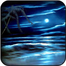 Beautiful Moon Wallpapers APK