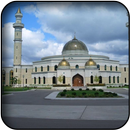 Beautiful mosques wallpapers APK