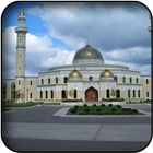 Beautiful mosques wallpapers icône
