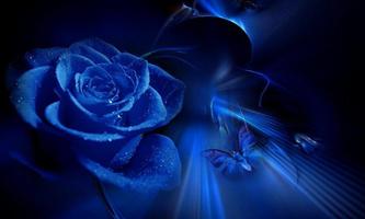 Синие розы обои постер