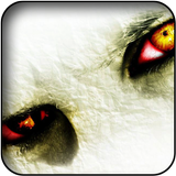 Eyes wallpapers icono
