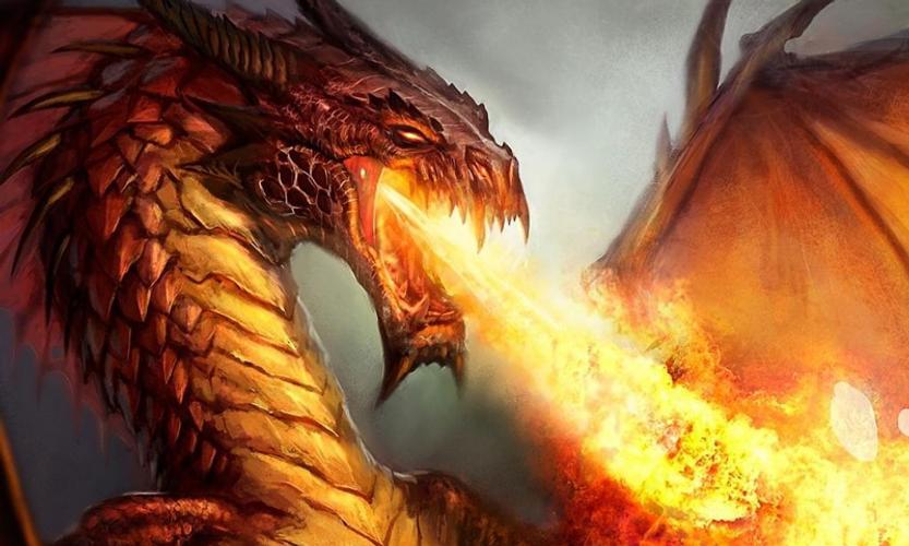 Огненный дракон. Фото огненного дракона. Власть огня драконы. Картинки огненных драконов. Огненный отбор читать