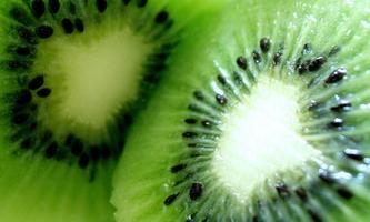 Kiwi wallpapers gönderen