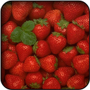 Strawberry wallpapers APK