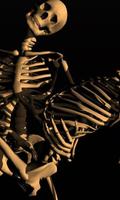 Skeleton Wallpapers 截圖 3