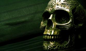 Skull Wallpapers Ekran Görüntüsü 3