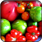 Tomatoes Wallpapers-icoon