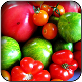 Tomatoes Wallpapers icon