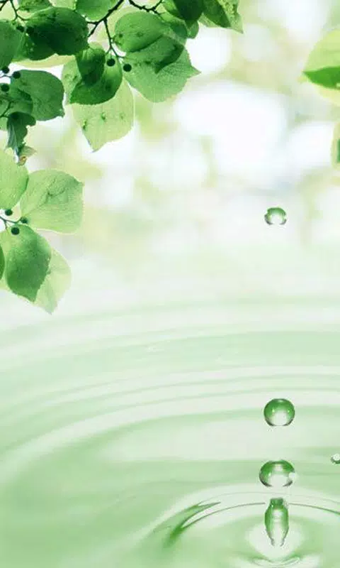 下载水壁纸的安卓版本