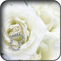 White flowers wallpapers