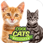 Cool Cats Wallpaper Collections - 'Cute'-icoon