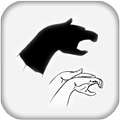 Hand Shadow
