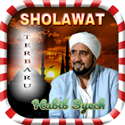 Sholawat Habib Syech Terbaru 2017 icône
