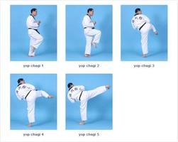 Learn Taekwondo Affiche