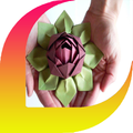 Handmade Paper Flower