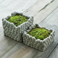 Flowers pots design 포스터