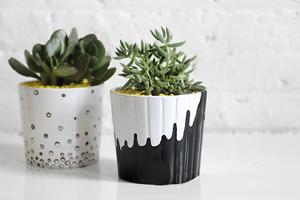 Flowers pots design 스크린샷 1