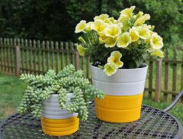 Flowers pots design 스크린샷 3