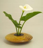 Flower vase design ภาพหน้าจอ 1