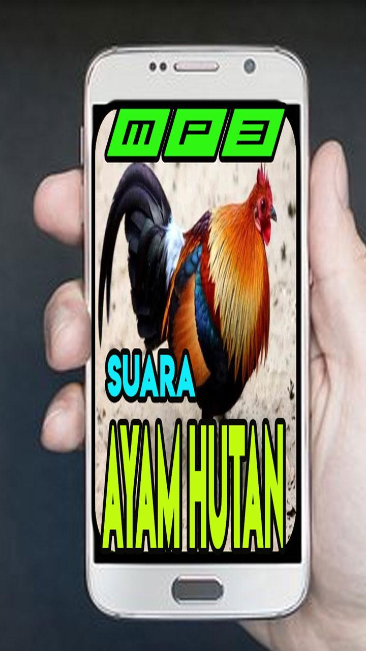  Suara  Ayam Hutan  Lengkap Mp3  for Android APK Download