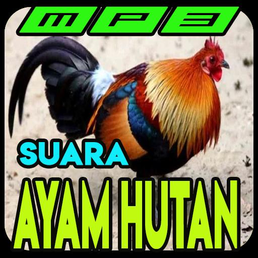  Suara  Ayam Hutan  Lengkap Mp3  for Android APK Download 