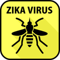 Zika Virus Info News