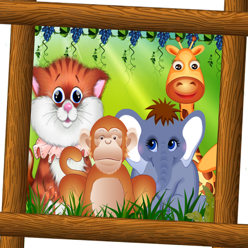 Animals Pet Beauty Salon