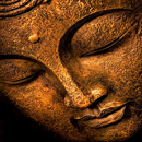 Sang Buddha Pelindungku APK