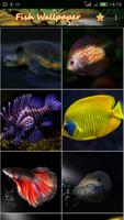 Fish Wallpaper Dark Edition پوسٹر