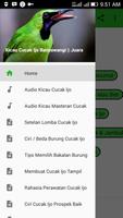 Kicau Cucak Ijo Banyuwangi poster