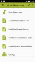 Kicau Sikatan Jawa||Kipasan Belang imagem de tela 1