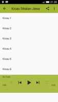 Kicau Sikatan Jawa||Kipasan Belang imagem de tela 2