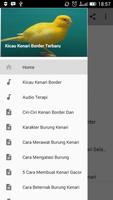 Kicau Kenari Border Terbaru plakat